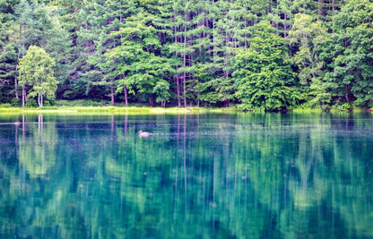 2日間の日本ツアー | 上高地ハイキングと立山黒部アルペンルート | 宿泊、朝食、夕食付き（名古屋発）