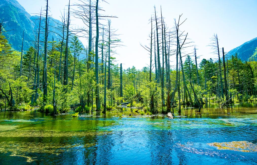 2日間の日本ツアー | 上高地ハイキングと立山黒部アルペンルート | 宿泊、朝食、夕食付き（名古屋発）