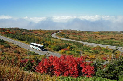 【夏秋限定】名古屋発、立山黒部・上高地を巡る2日間アルプス旅｜6つの交通手段