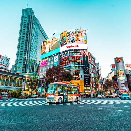 東京を7時間で廻るフリーチョイス・ツアー